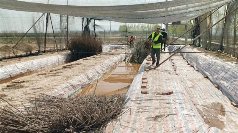 640 (5).jpg 640 (5).jpg