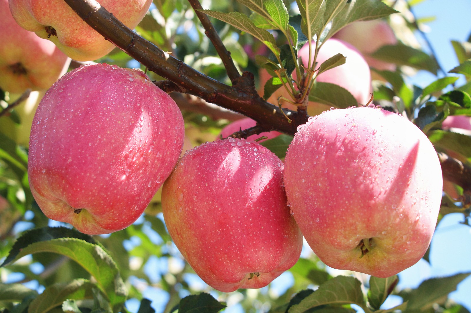 微信圖片_20221120174949(1).jpg 微信圖片_20221120174949(1).jpg